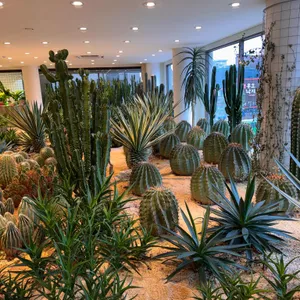 홍대카페 리뷰 사진