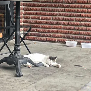 무가보 리뷰 사진