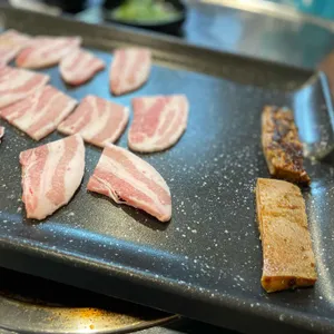 고너마 대표 사진