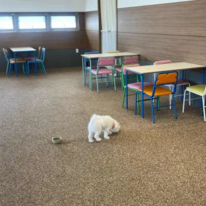 멈무아 리뷰 사진