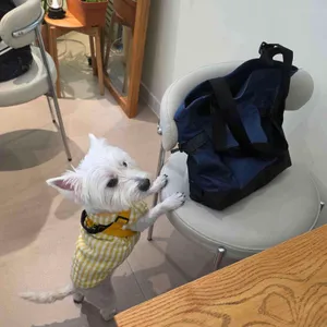 우라산 리뷰 사진