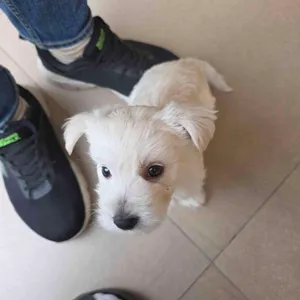 우라산 대표 사진