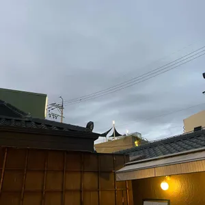 시라유키 리뷰 사진