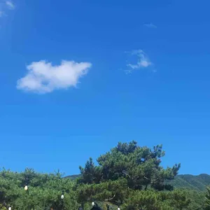 스윗팔공 리뷰 사진