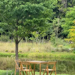 카페 담소요 리뷰 사진