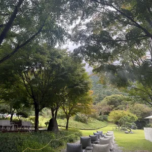 헤일로92 리뷰 사진