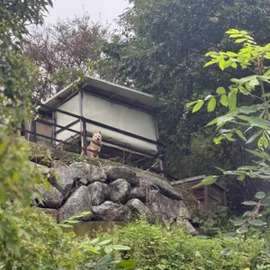 헤일로92 리뷰 사진