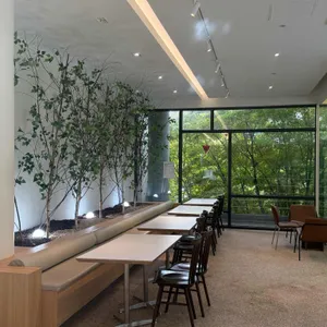 헤일로92 리뷰 사진