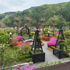 로즈 리뷰 사진