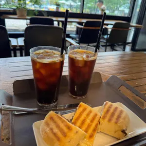 로빈포레스트 사진 2