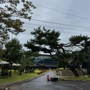 로빈포레스트 리뷰 사진