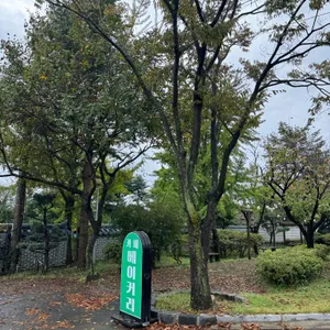 로빈포레스트 리뷰 사진