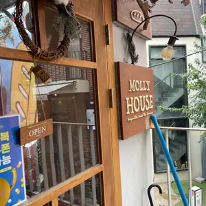 몰리하우스 리뷰 사진