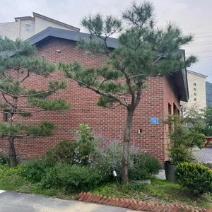주하 대표 사진