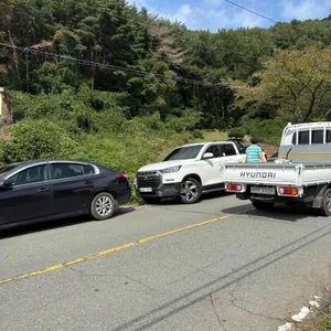 도연정 리뷰 사진