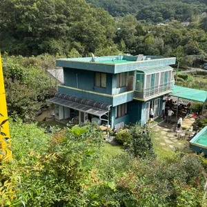 도연정 리뷰 사진