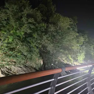 해뜨는집 리뷰 사진