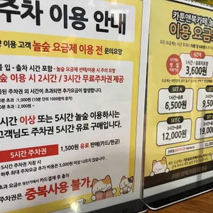 놀숲 리뷰 사진