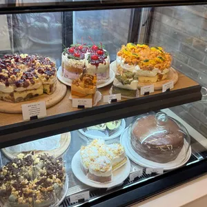 사우스플랜 사진