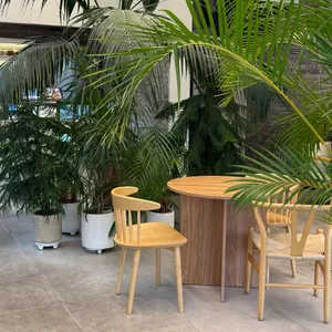 사우스플랜 리뷰 사진