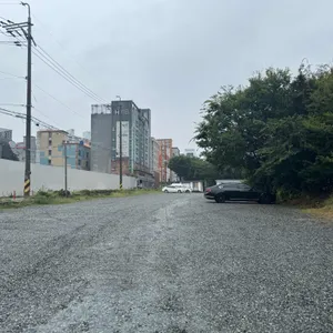 누마루 리뷰 사진