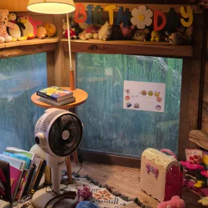 미즈노씨네 트리하우스 리뷰 사진