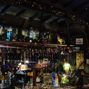 미즈노씨네 트리하우스 리뷰 사진