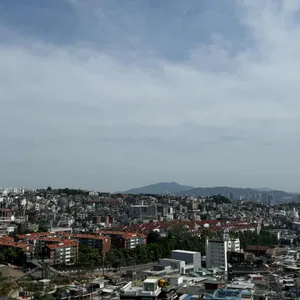 S.caf 사진 2