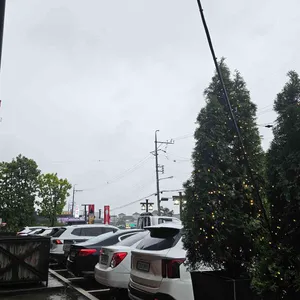 더티 트렁크 리뷰 사진