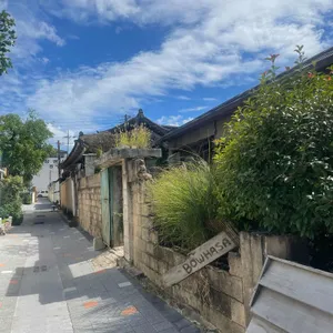 보우하사 리뷰 사진