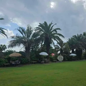 루브린 리뷰 사진