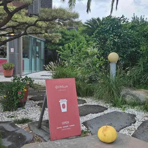 루브린 리뷰 사진