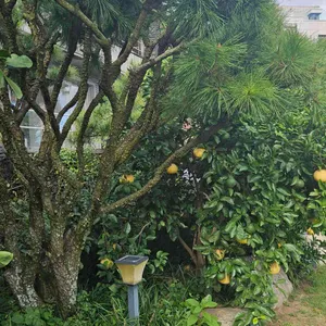 루브린 리뷰 사진