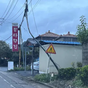 등나무집 리뷰 사진