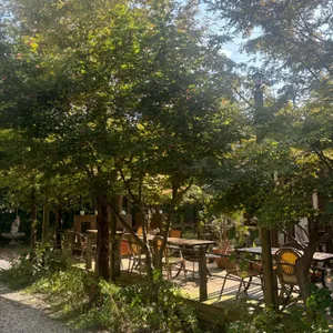 마이야르 리뷰 사진