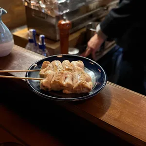 야키토리 스키 사진