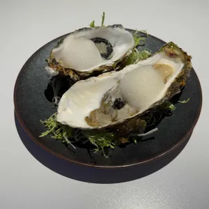 알 누오보 사진