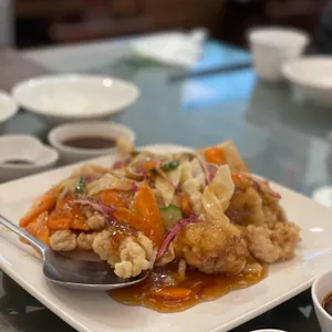 동화반점 사진 1