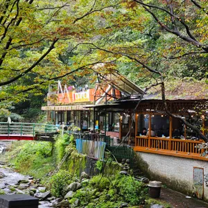 청진식당 리뷰 사진