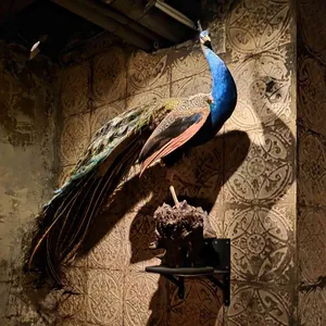 버드맨 리뷰 사진