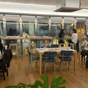 무쉬 리뷰 사진