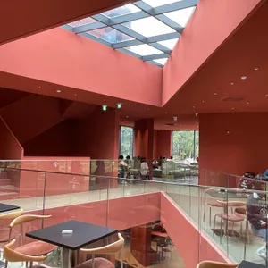 스코그 리뷰 사진