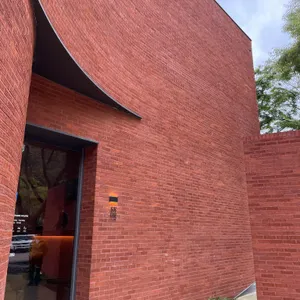 스코그 리뷰 사진