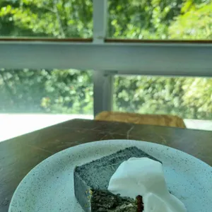 코우코알라 사진