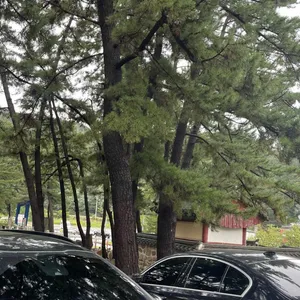 어게인디엠카페 리뷰 사진