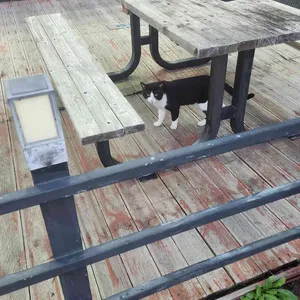 선녀풍 리뷰 사진