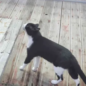 선녀풍 리뷰 사진