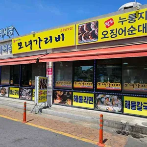 모녀가리비 사진 2