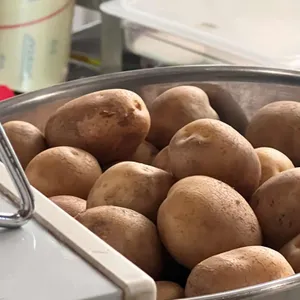 포그 사진 2