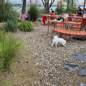 카페 보다 리뷰 사진